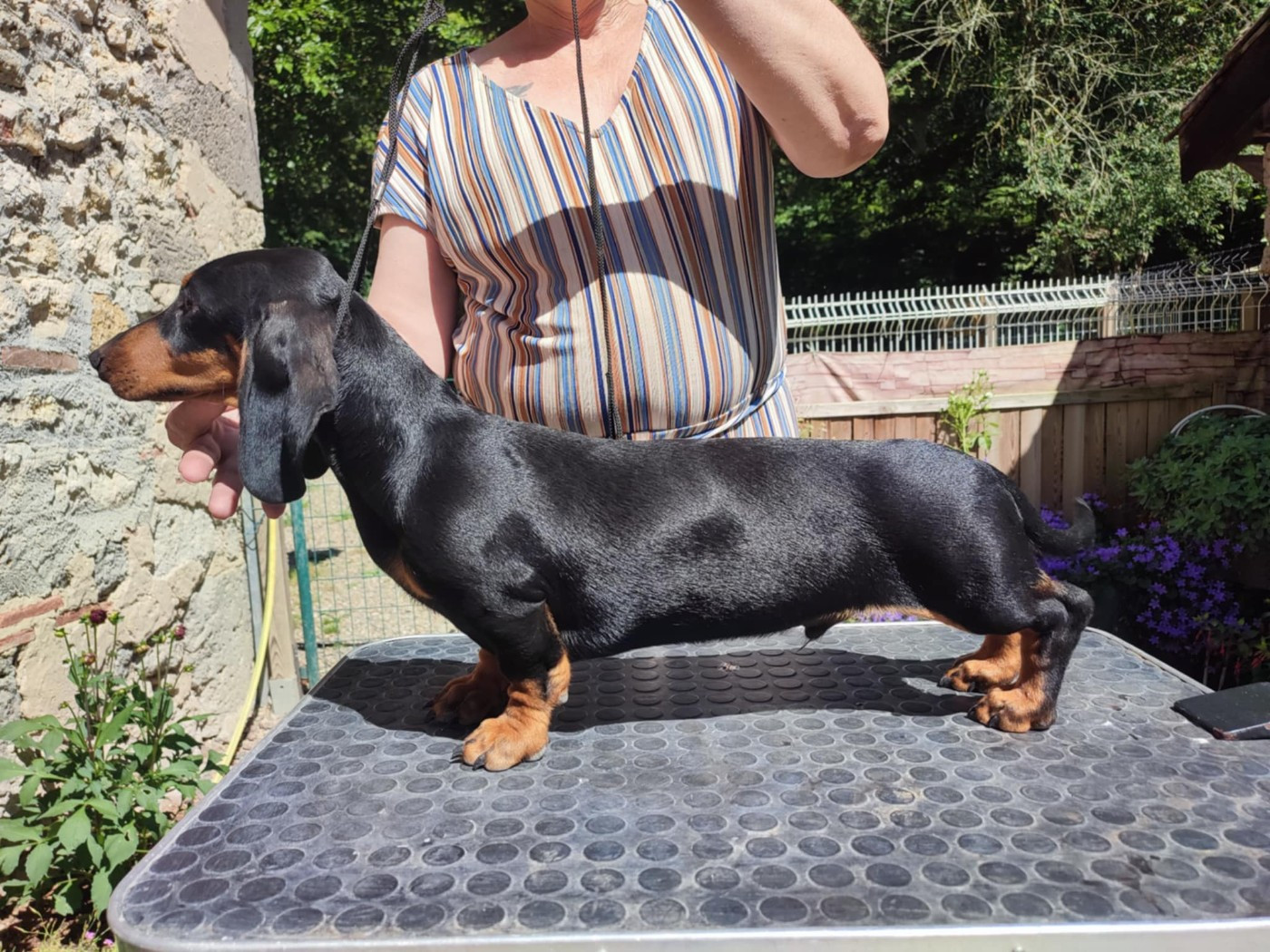 Ananas du Duncallipsy