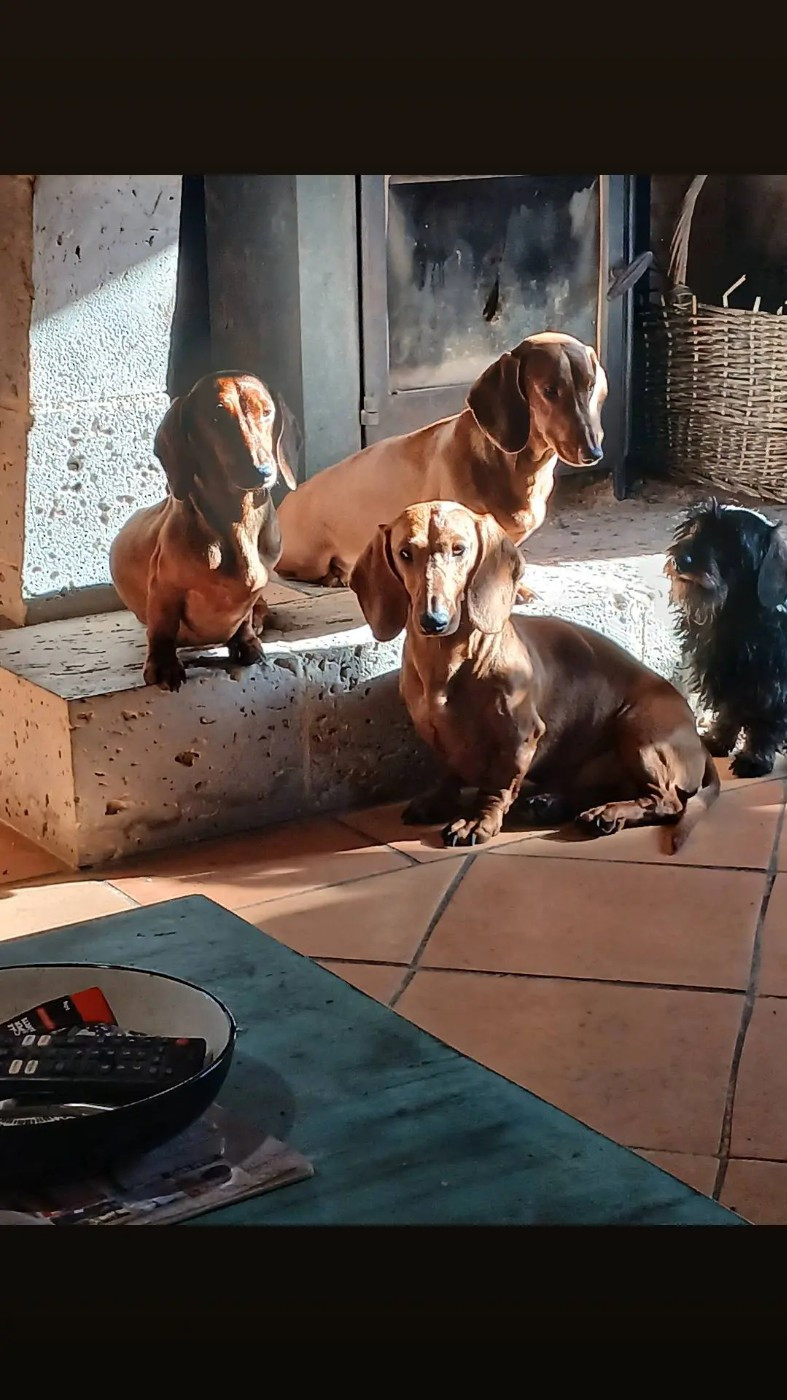 Toskane (Sans Affixe)